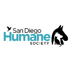 FIJI Brothers in Action